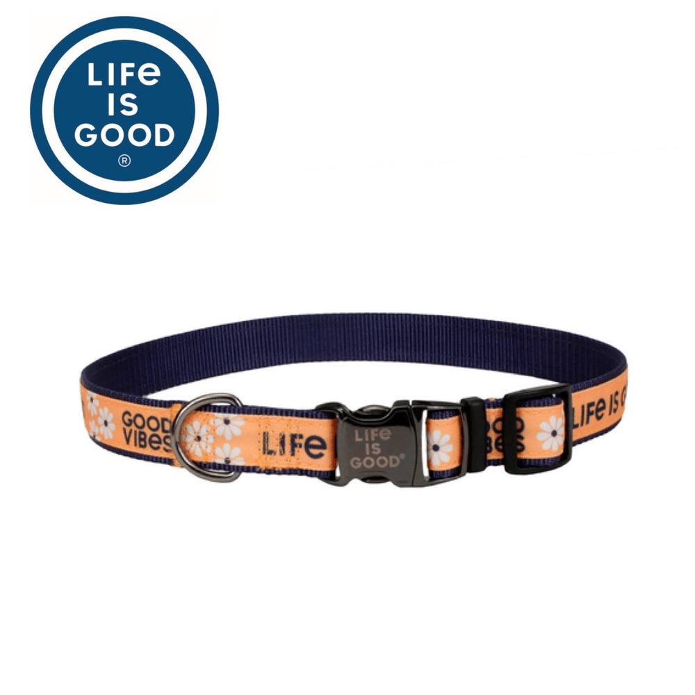 Life is Good Daisy Dog Collar- Baja Yellow